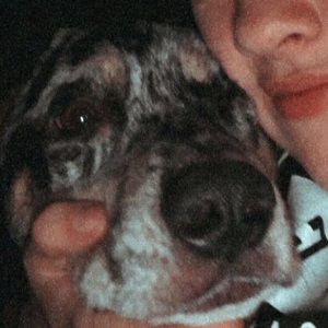 Meet your Posher, Logan